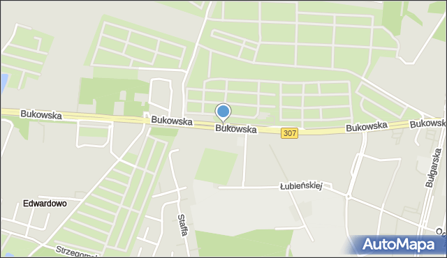Poznań, Bukowska, mapa Poznania