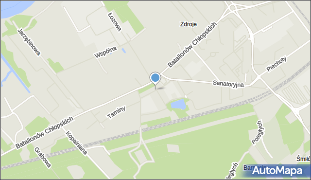 Szczecin, Bukszpanowa, mapa Szczecina