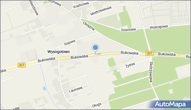 Wysogotowo, Bukowska, mapa Wysogotowo