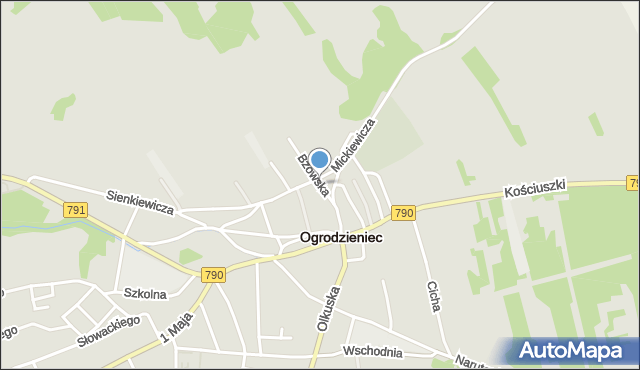 Ogrodzieniec powiat zawierciański, Bzowska, mapa Ogrodzieniec powiat zawierciański