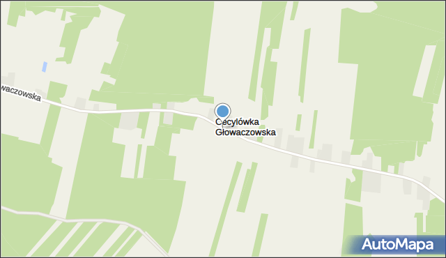 Cecylówka Głowaczowska, Cecylówka Głowaczowska, mapa Cecylówka Głowaczowska
