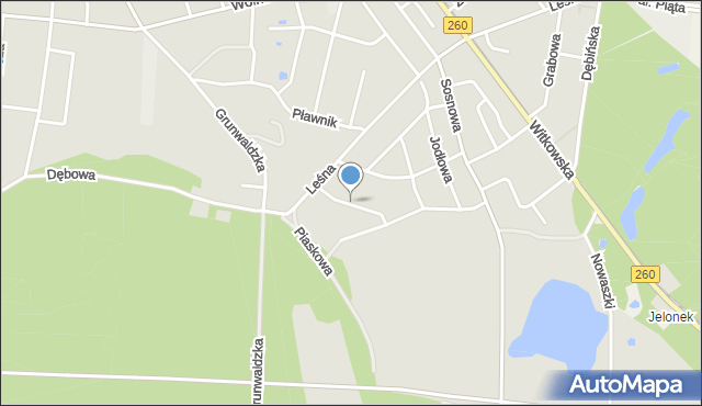 Gniezno, Cedrowa, mapa Gniezna