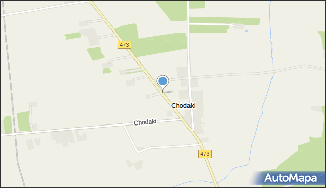Chodaki gmina Zadzim, Chodaki, mapa Chodaki gmina Zadzim