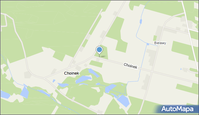 Choinek, Choinek, mapa Choinek