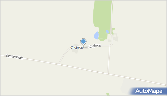 Chojnica gmina Srokowo, Chojnica, mapa Chojnica gmina Srokowo