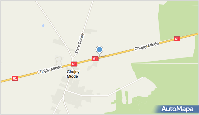 Chojny Młode, Chojny Młode, mapa Chojny Młode