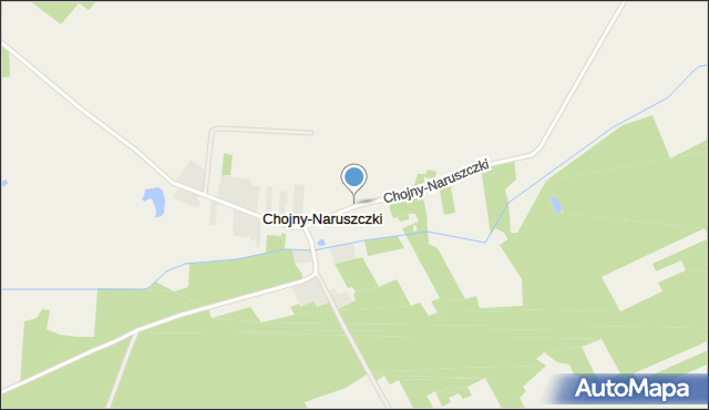 Chojny-Naruszczki, Chojny-Naruszczki, mapa Chojny-Naruszczki