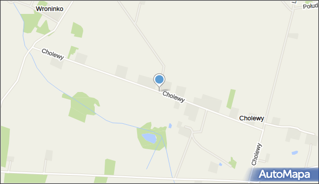 Cholewy gmina Płońsk, Cholewy, mapa Cholewy gmina Płońsk