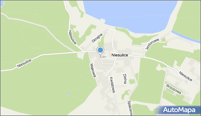 Niesulice, Chabrowa, mapa Niesulice