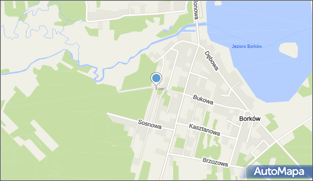 Borków gmina Daleszyce, Cisowa, mapa Borków gmina Daleszyce
