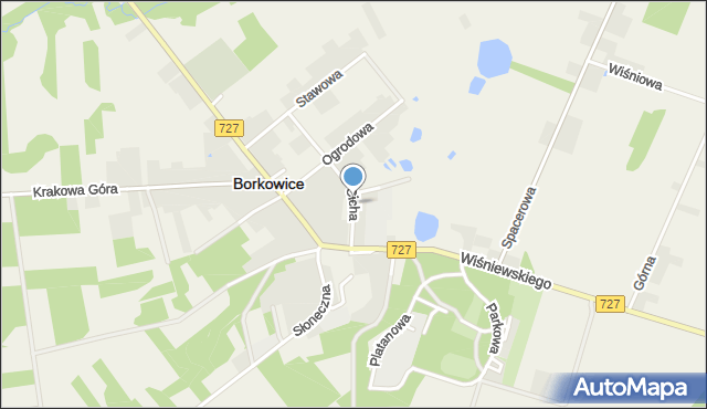 Borkowice powiat przysuski, Cicha, mapa Borkowice powiat przysuski