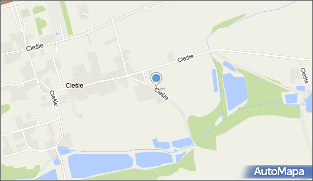 Cieśle gmina Oleśnica, Cieśle, mapa Cieśle gmina Oleśnica