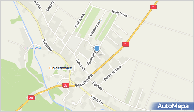 Gniechowice, Cicha, mapa Gniechowice