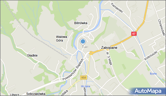 Zakopane, Cichej Wody, mapa Zakopanego