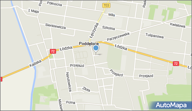 Poddębice, Cmentarna, mapa Poddębice