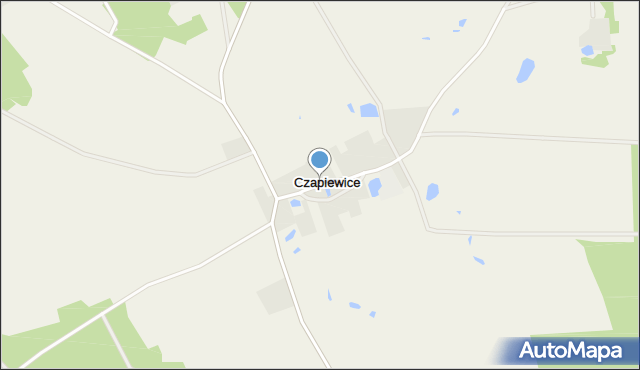 Czapiewice, Czapiewice, mapa Czapiewice