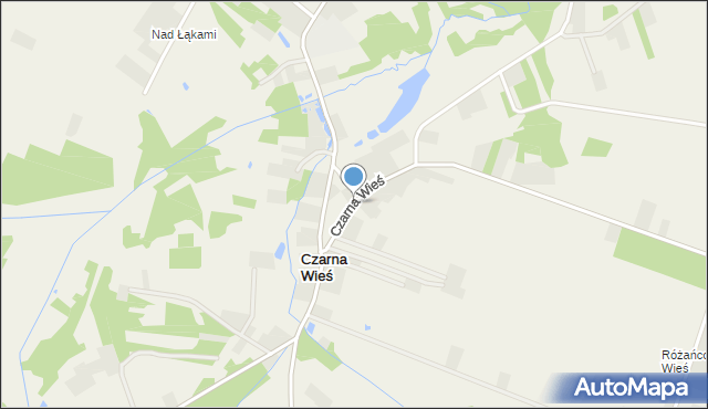 Czarna Wieś gmina Pionki, Czarna Wieś, mapa Czarna Wieś gmina Pionki