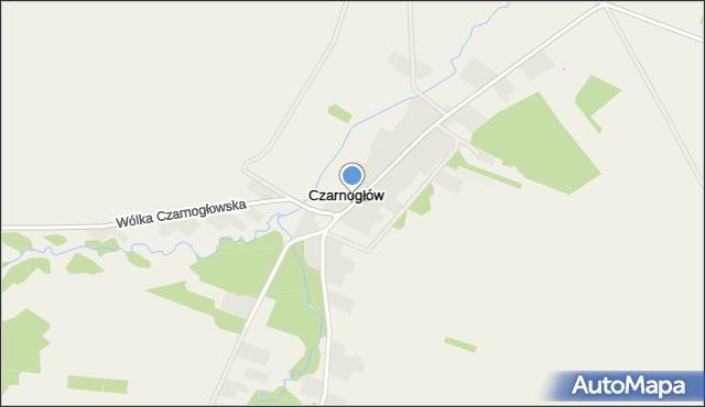 Czarnogłów, Czarnogłów, mapa Czarnogłów