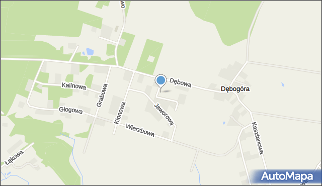 Dębogóra gmina Czerwonak, Czeremchowa, mapa Dębogóra gmina Czerwonak