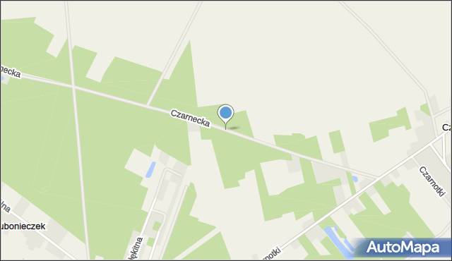 Lubonieczek, Czarnecka, mapa Lubonieczek
