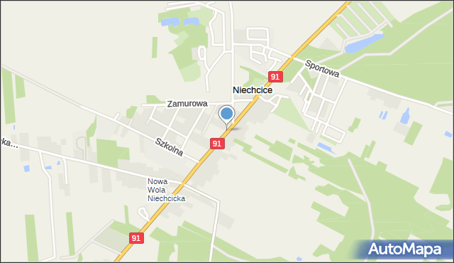 Niechcice, Częstochowska, mapa Niechcice