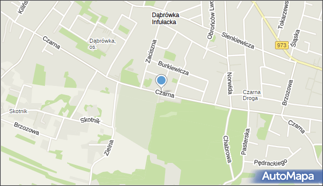 Tarnów, Czarna Droga, mapa Tarnów