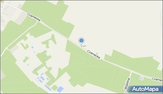 Zaniemyśl, Czarnecka, mapa Zaniemyśl