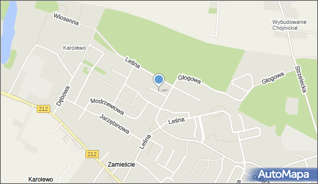 Chojnice, Daglezjowa, mapa Chojnic