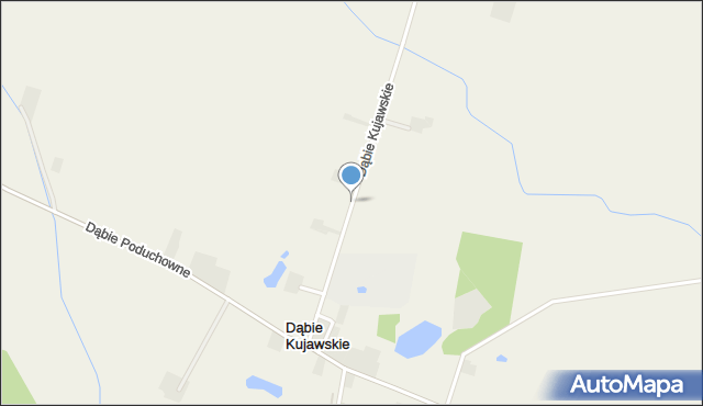Dąbie Kujawskie, Dąbie Kujawskie, mapa Dąbie Kujawskie