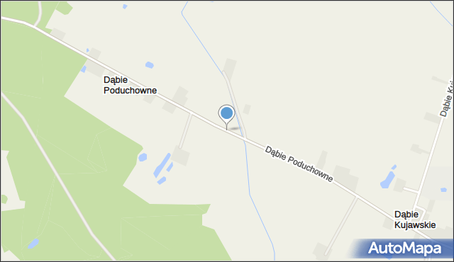 Dąbie Poduchowne, Dąbie Poduchowne, mapa Dąbie Poduchowne