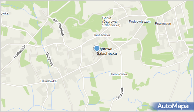 Dąbrowa Szlachecka, Dąbrowa Szlachecka, mapa Dąbrowa Szlachecka