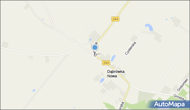 Dąbrówka Nowa gmina Sicienko, Dąbrówka Nowa, mapa Dąbrówka Nowa gmina Sicienko