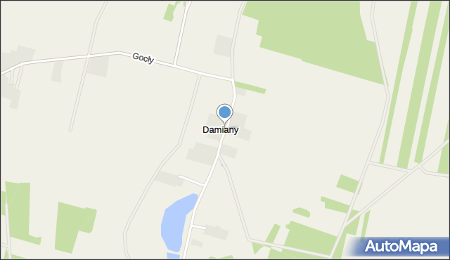 Damiany gmina Czerwin, Damiany, mapa Damiany gmina Czerwin