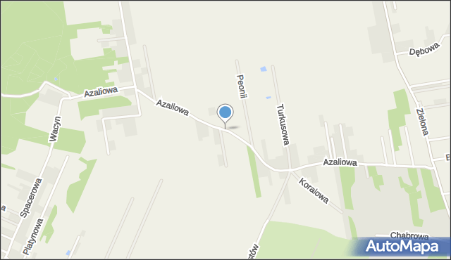 Janiszew gmina Zakrzew, Dawna Południowa, mapa Janiszew gmina Zakrzew