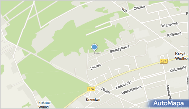 Krzyż Wielkopolski, Daliowa, mapa Krzyż Wielkopolski