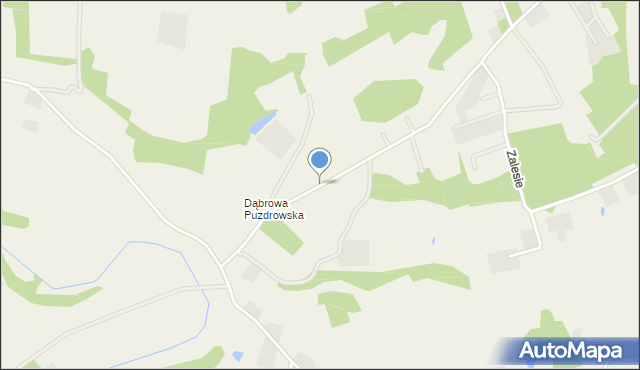 Puzdrowo, Dąbrowa Puzdrowska, mapa Puzdrowo