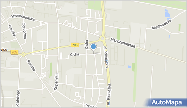 Skierniewice, Dawna Szenwalda Lucjana, mapa Skierniewic