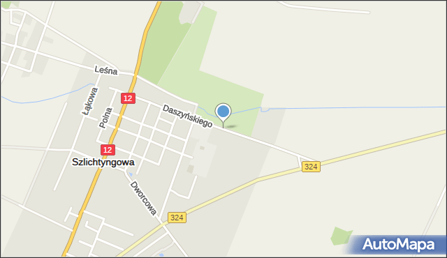 Szlichtyngowa, Daszyńskiego, mapa Szlichtyngowa