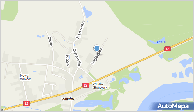 Wilków gmina Głogów, Daglezjowa, mapa Wilków gmina Głogów