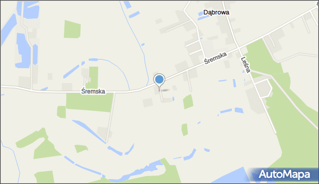 Dąbrowa gmina Śrem, Dębowa, mapa Dąbrowa gmina Śrem