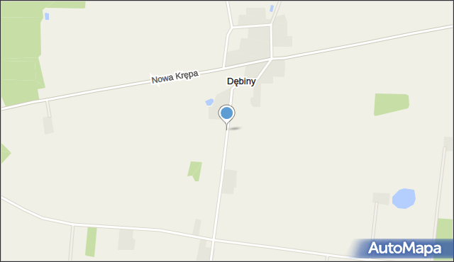 Dębiny gmina Przasnysz, Dębiny, mapa Dębiny gmina Przasnysz