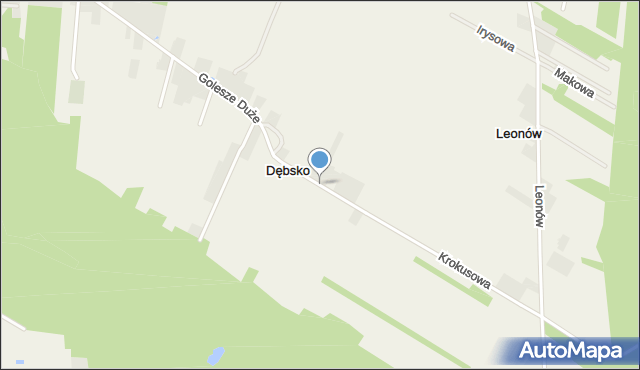 Dębsko gmina Wolbórz, Dębsko, mapa Dębsko gmina Wolbórz