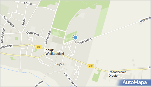 Książ Wielkopolski, Dębniacka, mapa Książ Wielkopolski