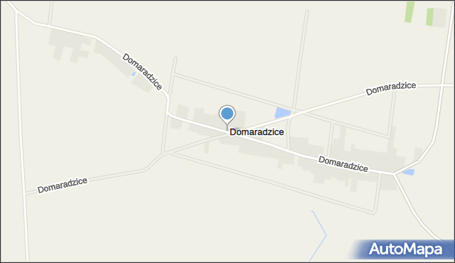 Domaradzice gmina Jutrosin, Domaradzice, mapa Domaradzice gmina Jutrosin