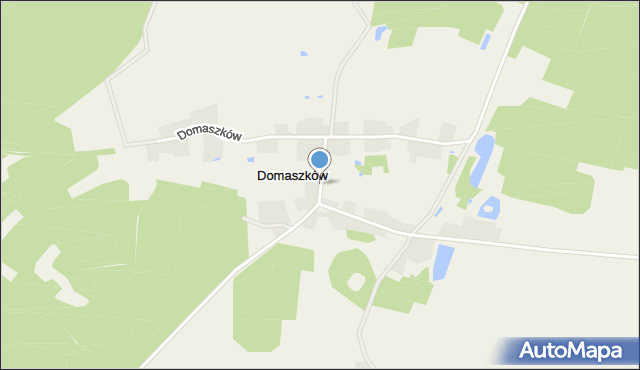 Domaszków gmina Wołów, Domaszków, mapa Domaszków gmina Wołów