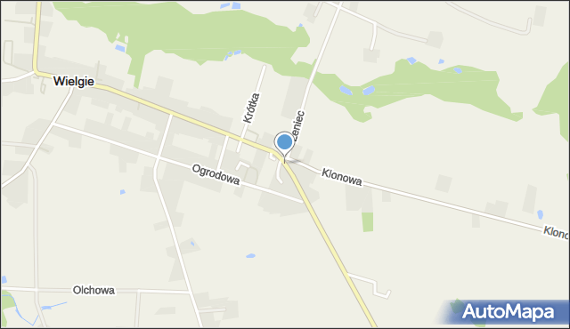 Wielgie powiat lipnowski, Dobrzyńska, mapa Wielgie powiat lipnowski