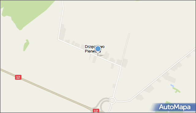 Drzęczewo Pierwsze, Drzęczewo Pierwsze, mapa Drzęczewo Pierwsze