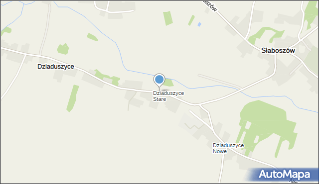 Dziaduszyce, Dziaduszyce, mapa Dziaduszyce