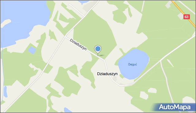 Dziaduszyn, Dziaduszyn, mapa Dziaduszyn