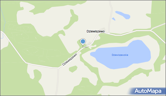 Dziewiszewo, Dziewiszewo, mapa Dziewiszewo